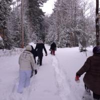 Retreat 2014 - Daley lab members walking in the snow